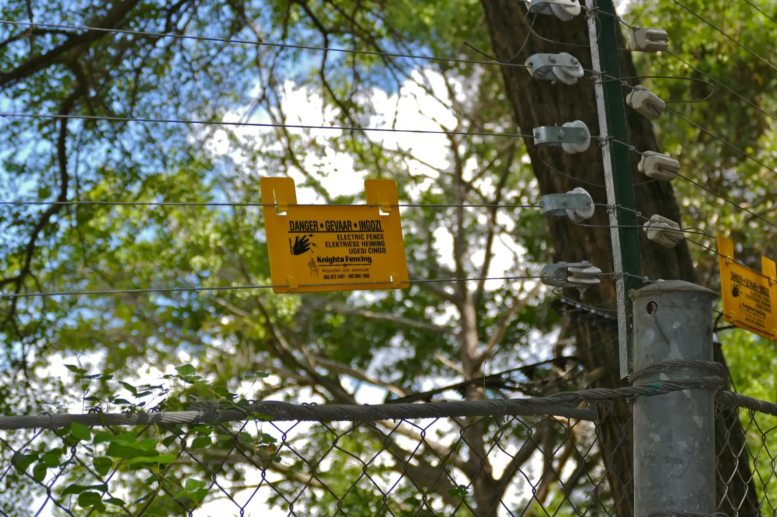 Electrified protection fencing at Berg-en-Dal, Kruger National Park